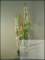 www.floristic.ru - .  .