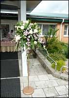 www.floristic.ru - .  .