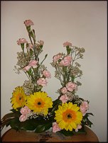 www.floristic.ru - .  .