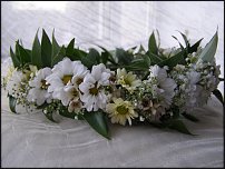 www.floristic.ru - .    