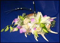 www.floristic.ru - .  