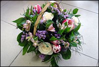 www.floristic.ru - .       8 !!!