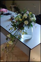 www.floristic.ru - .     