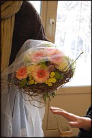 www.floristic.ru - .     