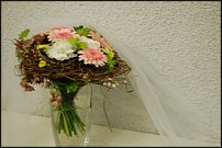 www.floristic.ru - .     