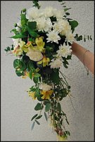 www.floristic.ru - .     