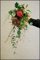 www.floristic.ru - .     