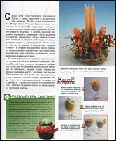 www.floristic.ru - .  