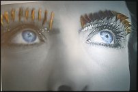 www.floristic.ru - .  