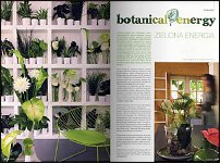 www.floristic.ru - .   