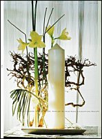 www.floristic.ru - . Gregor Lersch