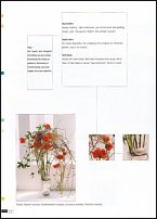www.floristic.ru - . Gregor Lersch