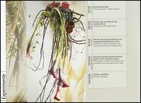 www.floristic.ru - . Gregor Lersch