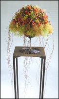 www.floristic.ru - . Gregor Lersch