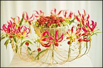 www.floristic.ru - . Gregor Lersch