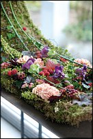 www.floristic.ru - . Gregor Lersch