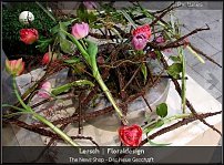 www.floristic.ru - . Gregor Lersch