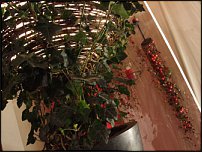 www.floristic.ru - . Gregor Lersch