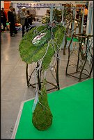www.floristic.ru - .     -   !