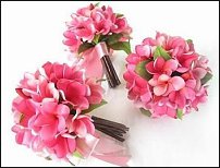 www.floristic.ru - .    