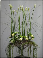 www.floristic.ru - . Gregor Lersch