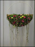 www.floristic.ru - . Gregor Lersch