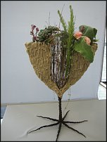 www.floristic.ru - . Gregor Lersch