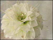 www.floristic.ru - . 