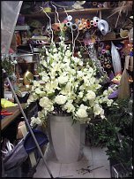 www.floristic.ru - .      .