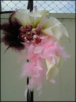 www.floristic.ru - .  .