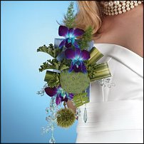 www.floristic.ru - . !!!!!