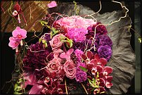 www.floristic.ru - .  .