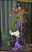 www.floristic.ru - .  .