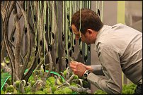 www.floristic.ru - .  .