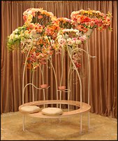 www.floristic.ru - .  .