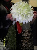 www.floristic.ru - .  