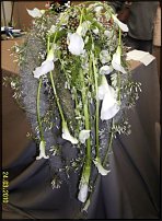 www.floristic.ru - .  