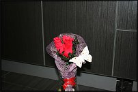 www.floristic.ru - .     -,  ..