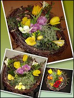 www.floristic.ru - .  