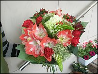 www.floristic.ru - .  .