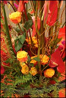 www.floristic.ru - .  .