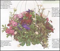 www.floristic.ru - .    