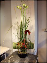 www.floristic.ru - . Gregor Lersch