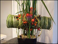 www.floristic.ru - . Gregor Lersch