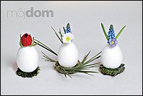 www.floristic.ru - .  