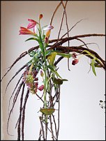 www.floristic.ru - . Gregor Lersch