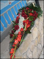 www.floristic.ru - .  