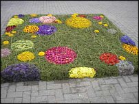 www.floristic.ru - . .     :)