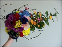 www.floristic.ru - .  