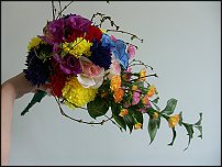 www.floristic.ru - .  